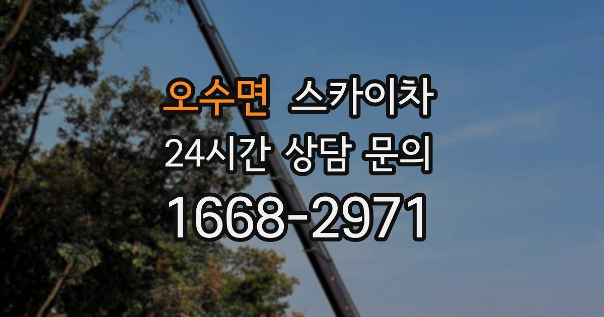 오수면 스카이차