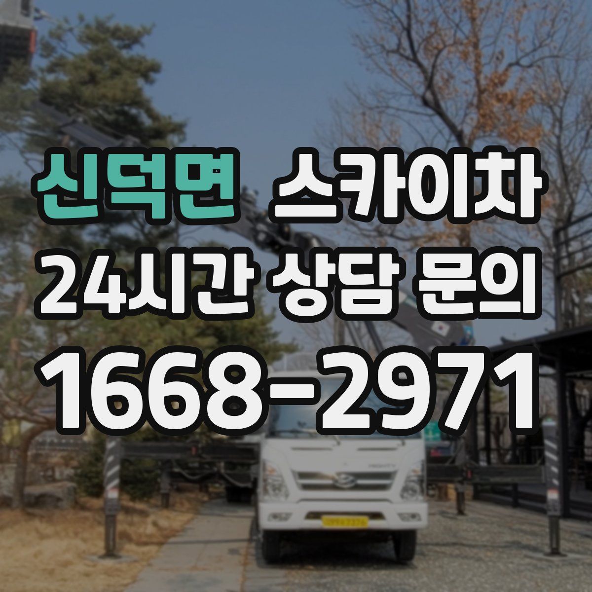 신덕면 스카이차