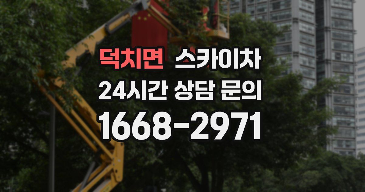 덕치면 스카이차