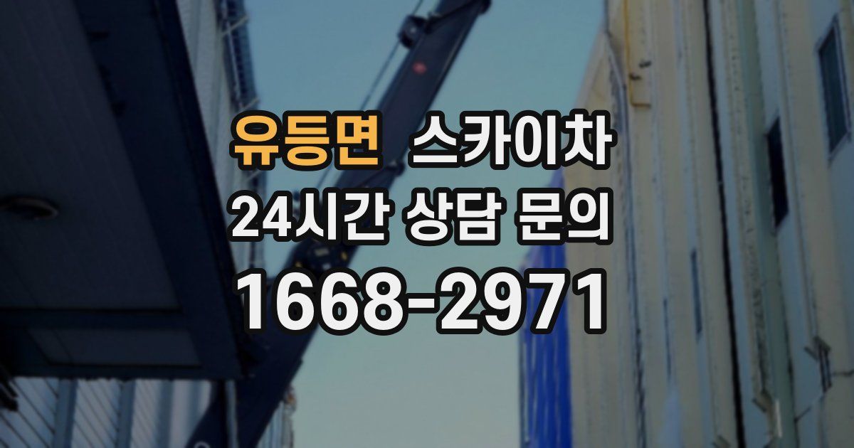 유등면 스카이차