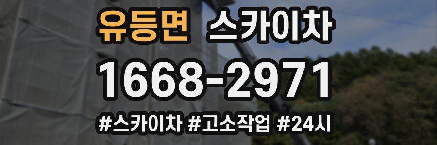 유등면 스카이차