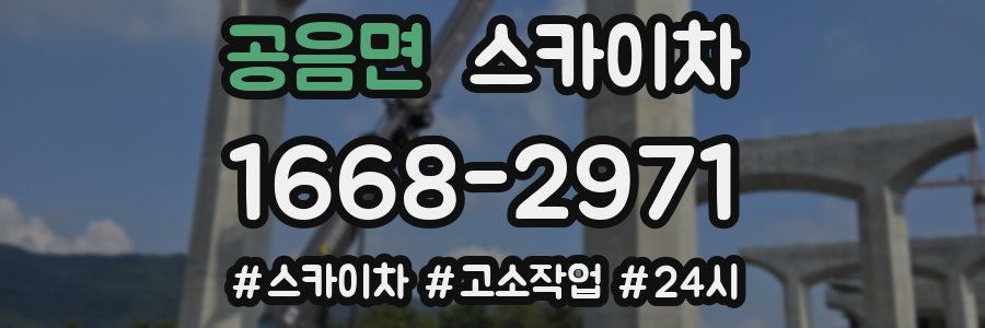 공음면 스카이차