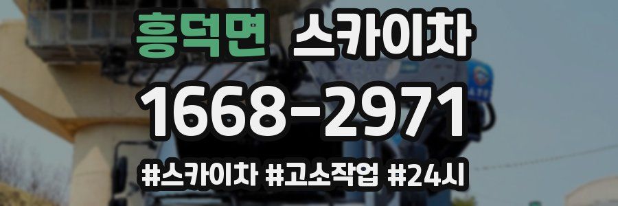 흥덕면 스카이차