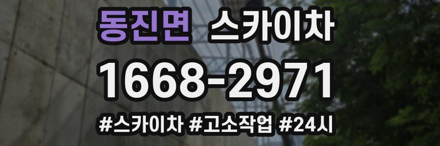 동진면 스카이차