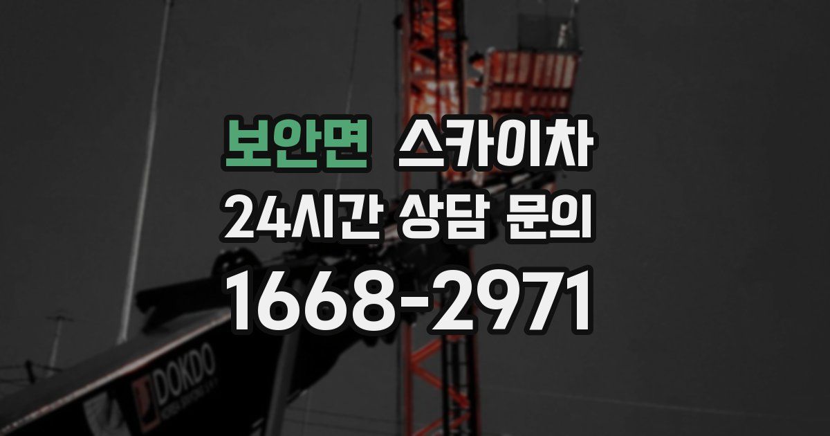 보안면 스카이차