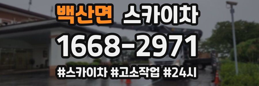 백산면 스카이차