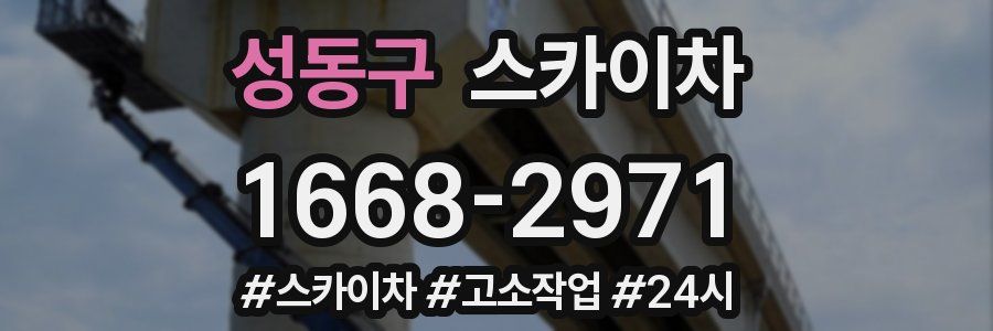 성동구 스카이차