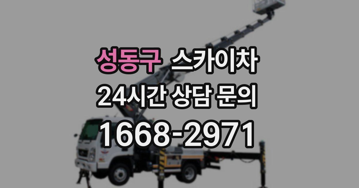 성동구 스카이차