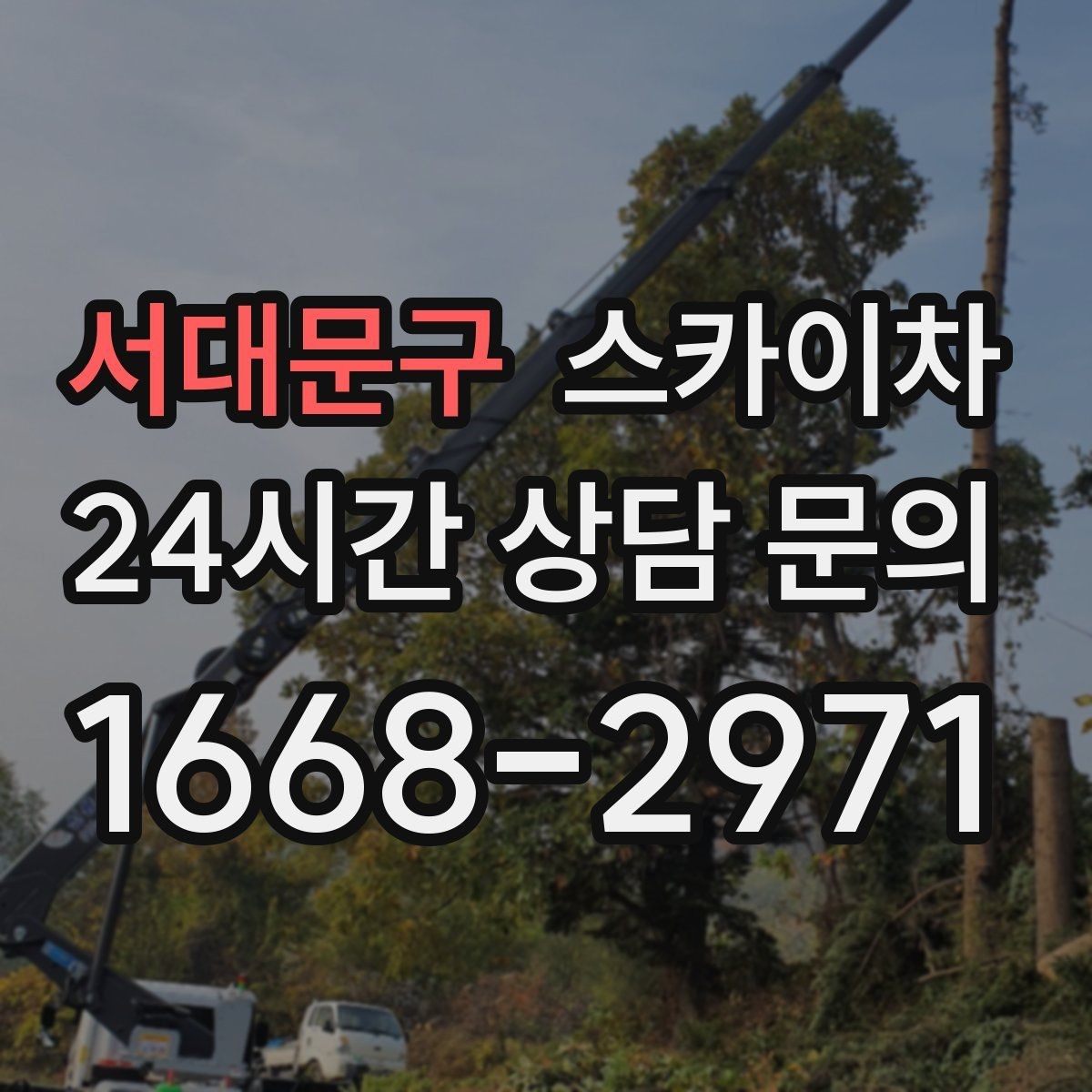 서대문구 스카이차 당일 긴급 작업 요청 시 준비할 정보