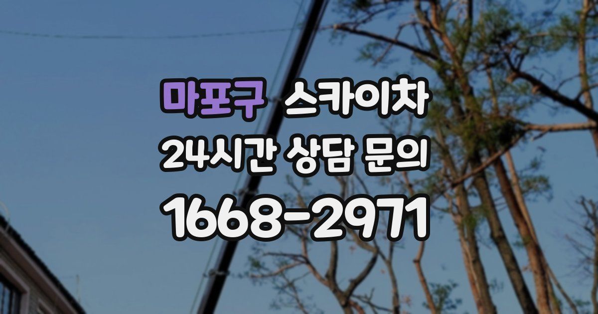 마포구 스카이차