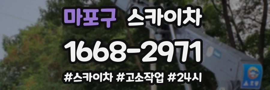 마포구 스카이차