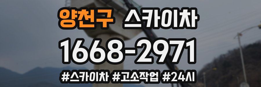 양천구 스카이차