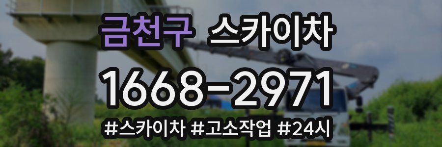 금천구 스카이차