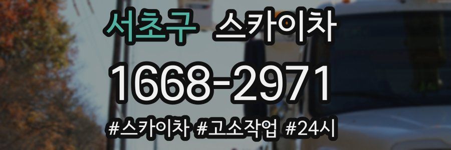 서초구 스카이차