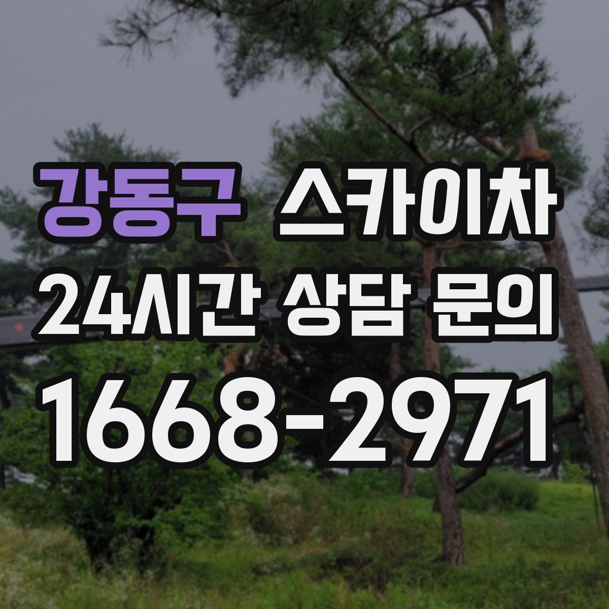 강동구 스카이차