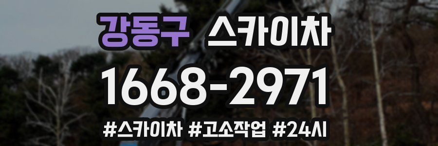 강동구 스카이차