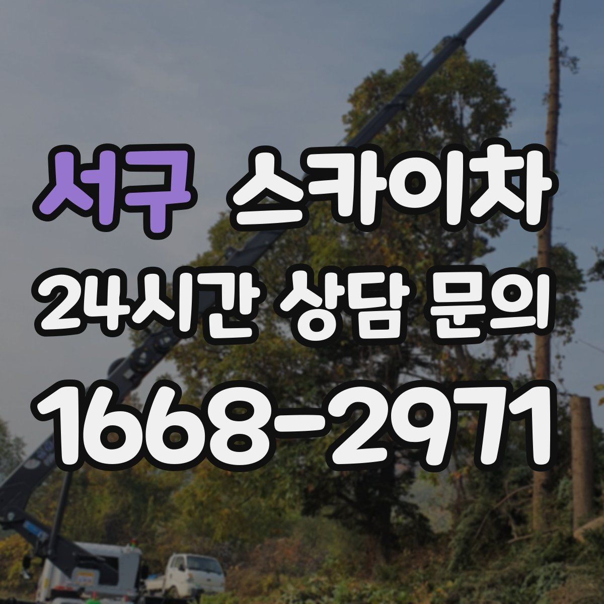 서구 스카이차 외벽 조류 배설물 청소 작업 진행