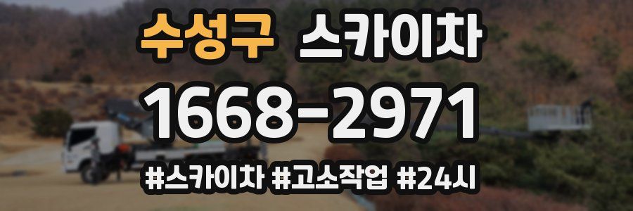 수성구 스카이차
