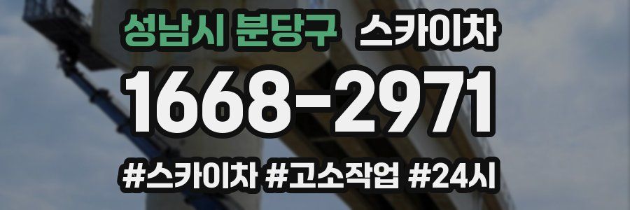 성남시 분당구 스카이차