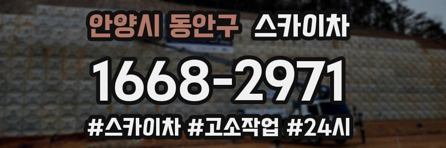 안양시 동안구 스카이차