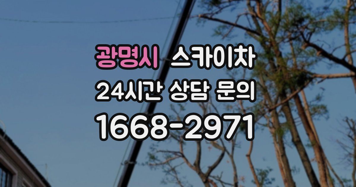 광명시 스카이차