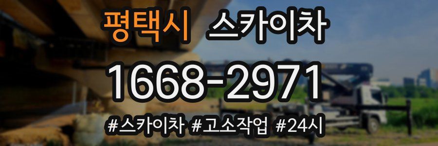 평택시 스카이차