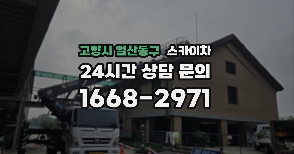 고양시 일산동구 스카이차