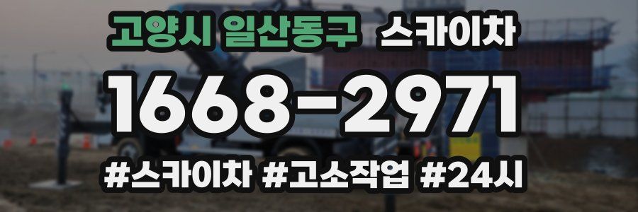 고양시 일산동구 스카이차