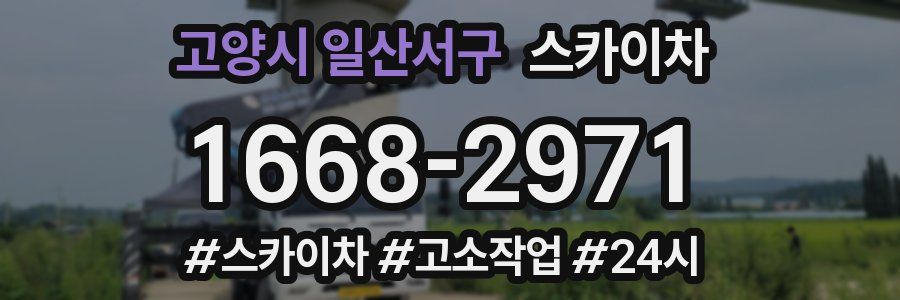 고양시 일산서구 스카이차