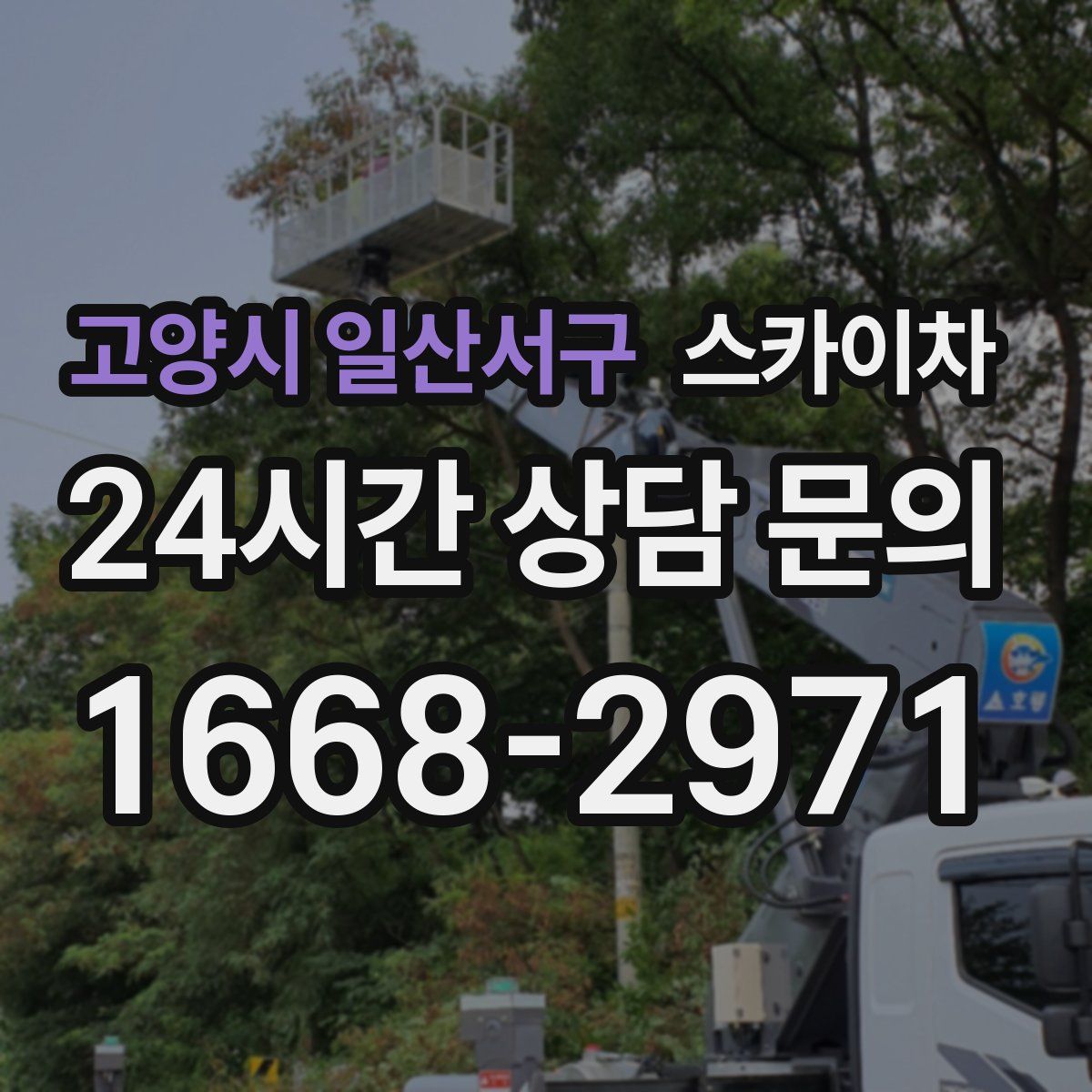 고양시 일산서구 스카이차