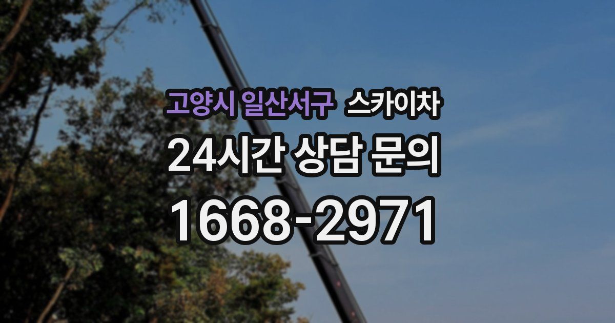 고양시 일산서구 스카이차