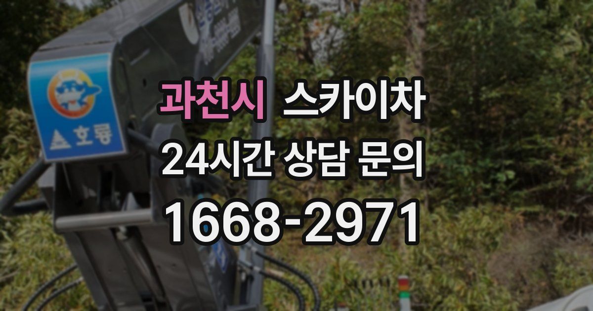 과천시 스카이차