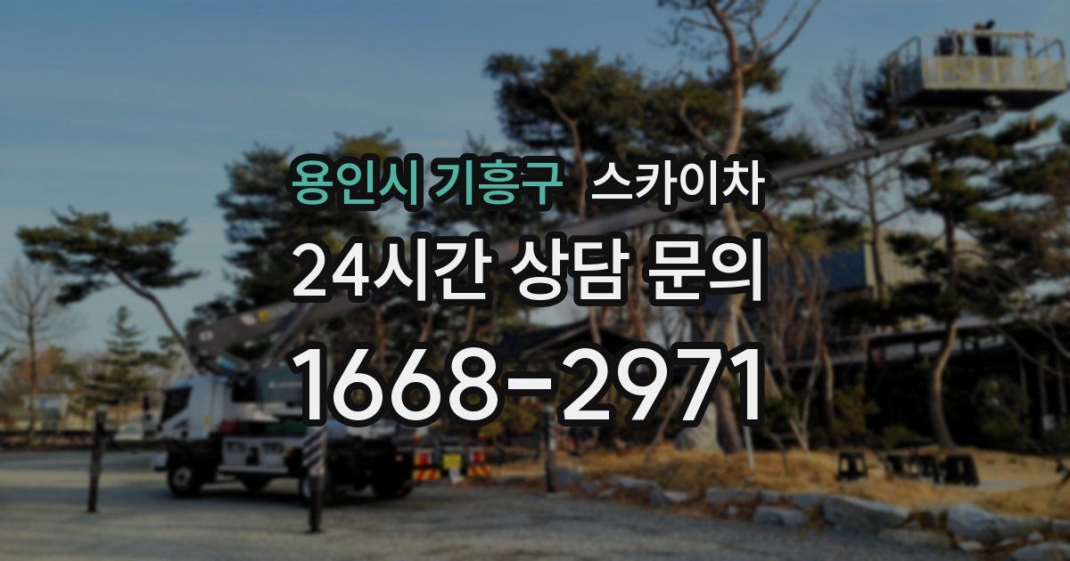 용인시 기흥구 스카이차
