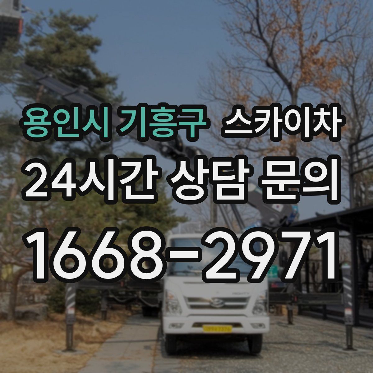 용인시 기흥구 스카이차