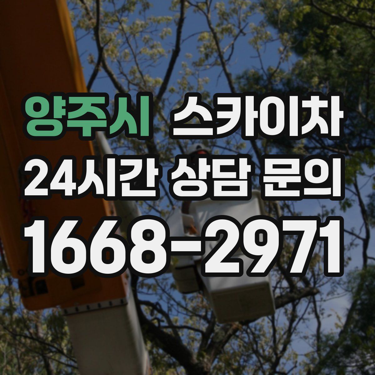 양주시 스카이차