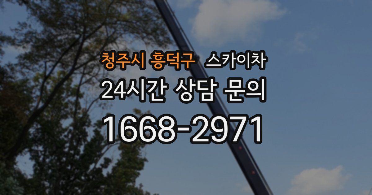 청주시 흥덕구 스카이차