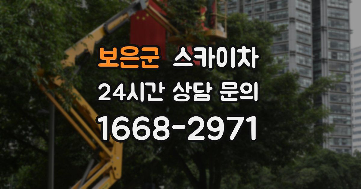 보은군 스카이차