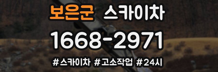 보은군 스카이차