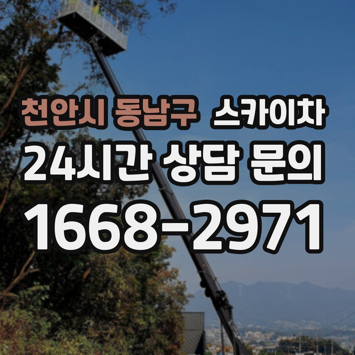 천안시 동남구 스카이차
