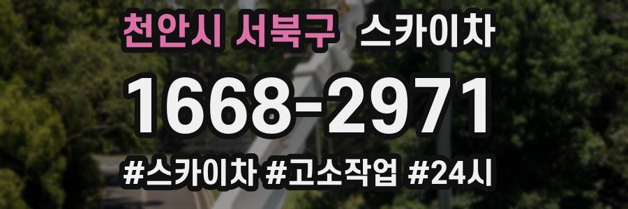 천안시 서북구 스카이차