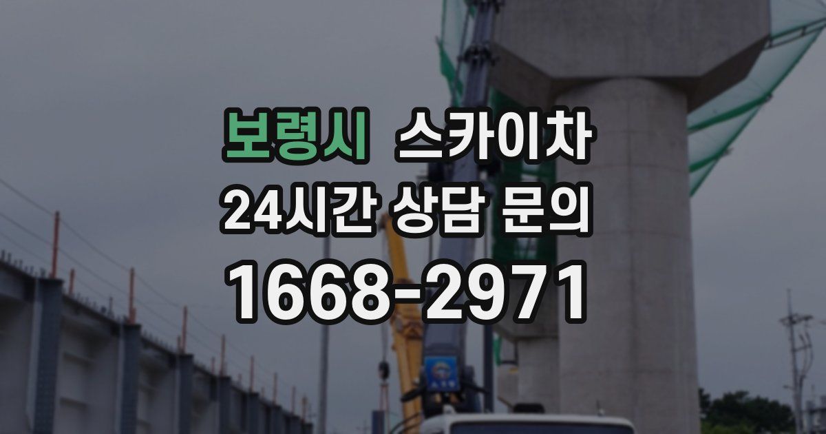 보령시 스카이차