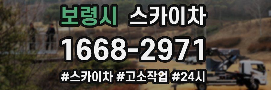 보령시 스카이차