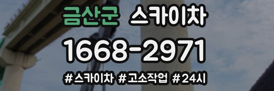 금산군 스카이차