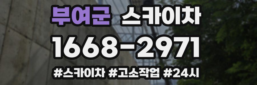 부여군 스카이차