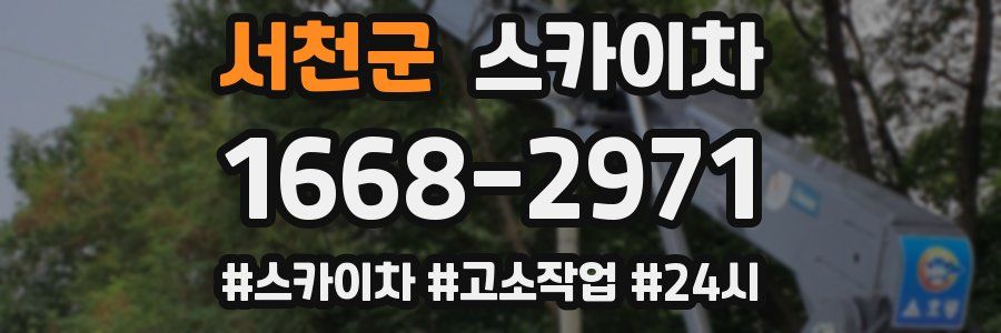 서천군 스카이차