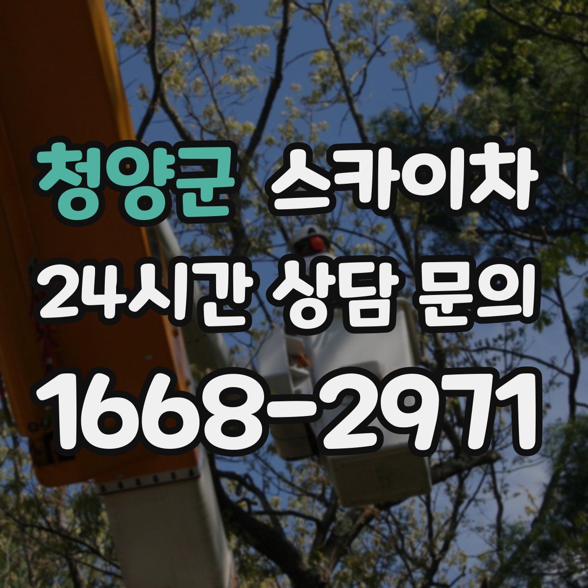 청양군 스카이차