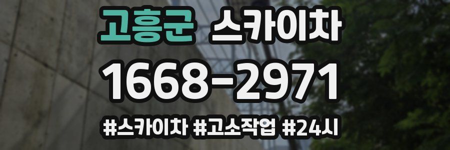 고흥군 스카이차