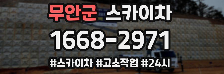 무안군 스카이차