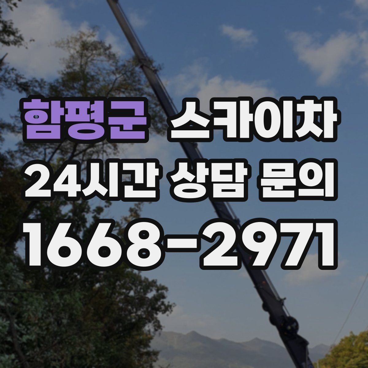 함평군 스카이차 나무 가지 전정 작업에 활용하는 방법