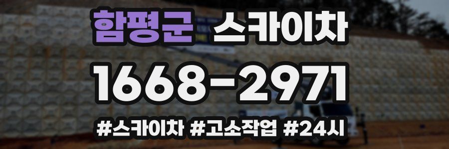 함평군 스카이차